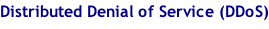 Distributed Denial of Service (DDoS)